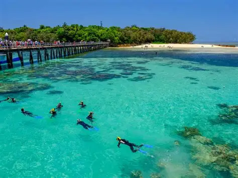 Snorkellers in turquoise water beside an island jetty